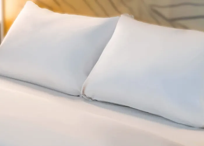 Centre Cathedrale Le Mans